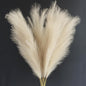 TETOU 6 Stems Faux Pampas Grass 43.3" Tall Big Pompous Grass Vase Filler Home Boho Decor - Beige