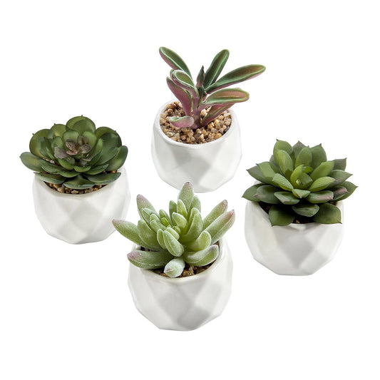 TETOU Miniature Artificial Succulents Indoor Small Fake House Plants in Round White Geometric Ceramic Pots Set of 4